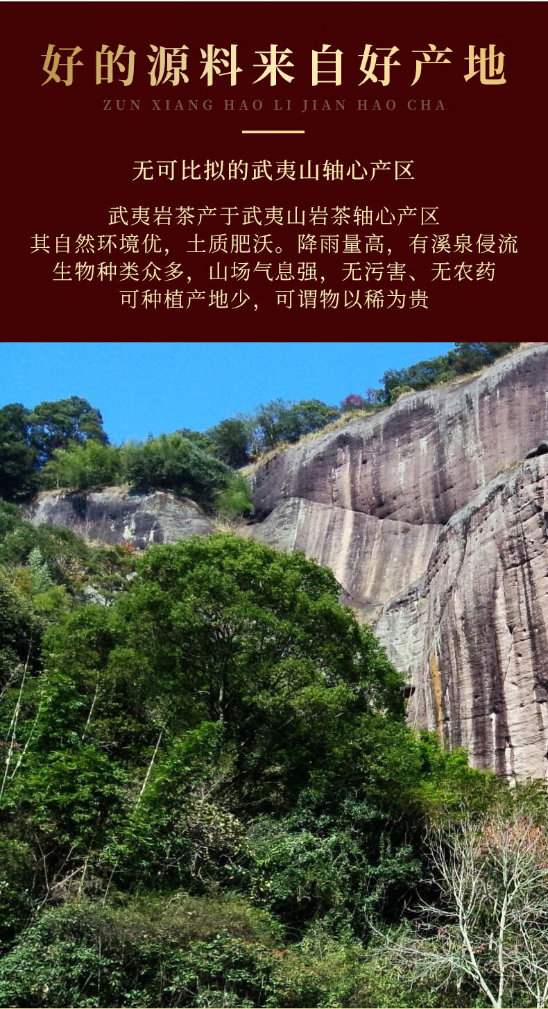 5折虎啸岩肉桂茶正宗武夷山岩茶大红袍茶叶特级正岩礼盒装500g