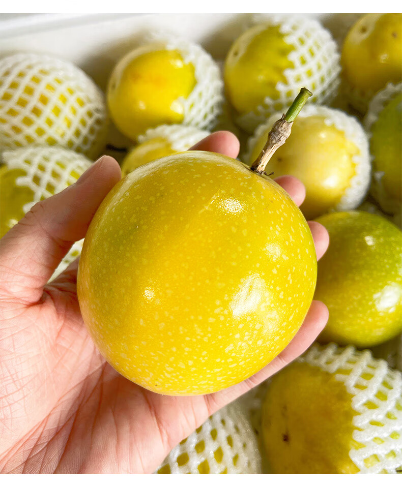 礼盒装顺丰海南黄金百香果特大果新鲜黄金果345斤45斤家庭装3斤特大果