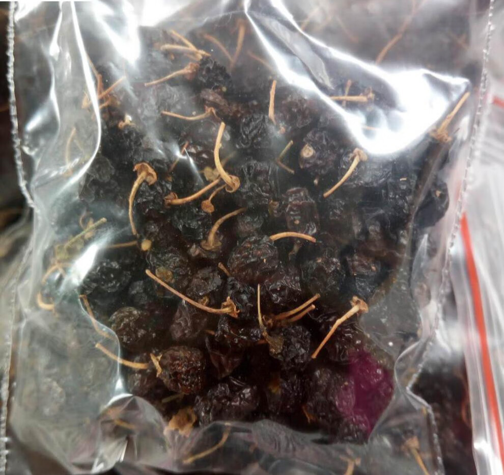 龙葵子龙葵果干品10克野葡萄黒天天茄子新鲜晒干