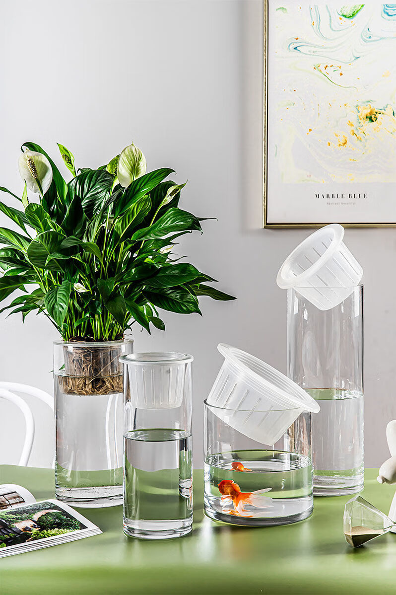 水培植物玻璃瓶水培容器透明直筒圆柱形花瓶简约绿萝白掌水养玻璃容器