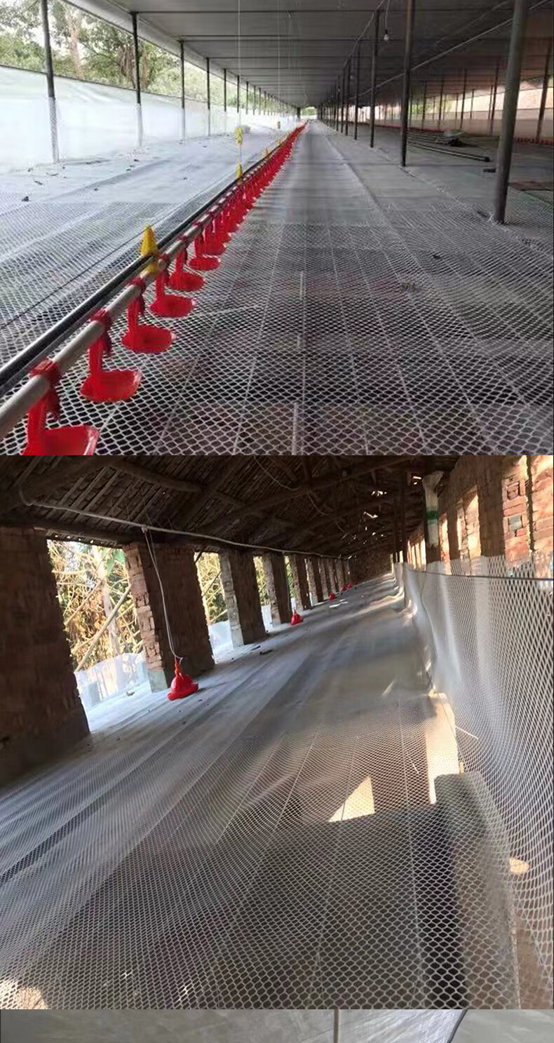塑料网围栏网塑料平网养殖网漏粪网床鸡鸭鹅围栏网脚垫网格片蜂网防护