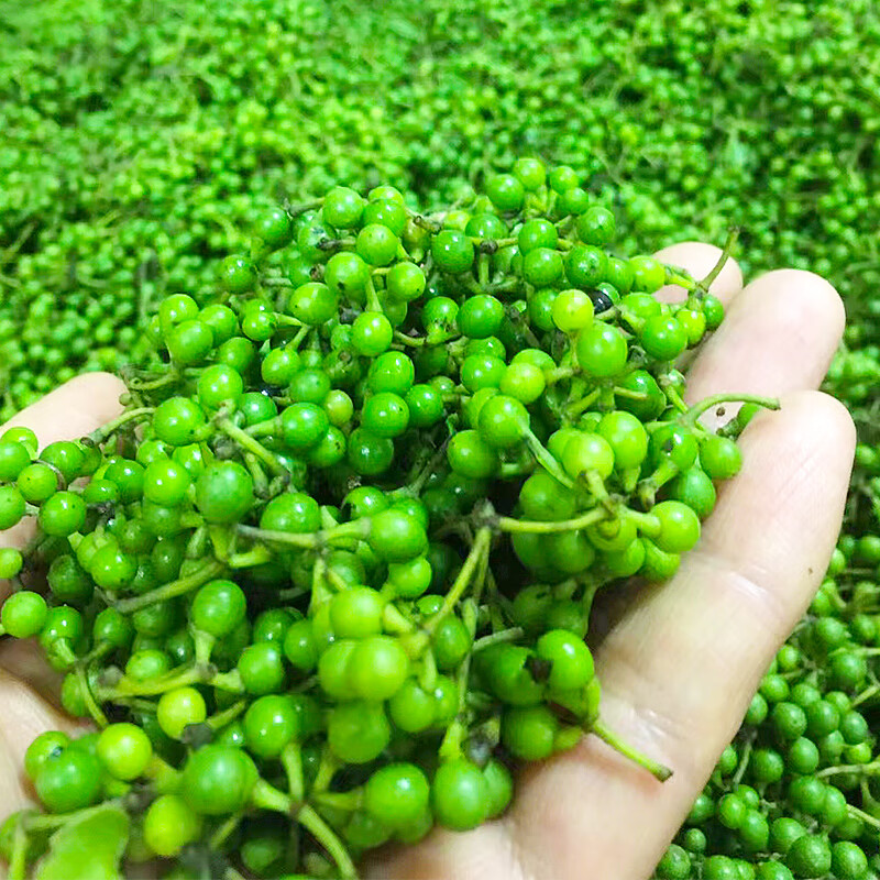 晨臻-1斤胡椒苍子木浆子川渝特产新鲜木姜子调味料干货 500【图片