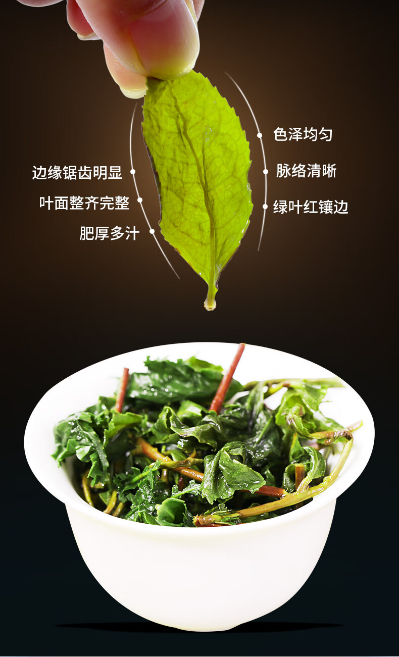 五折茗主铁观音冰茶新茶散装安溪兰花香铁观音茶叶带梗鲜茶500g非