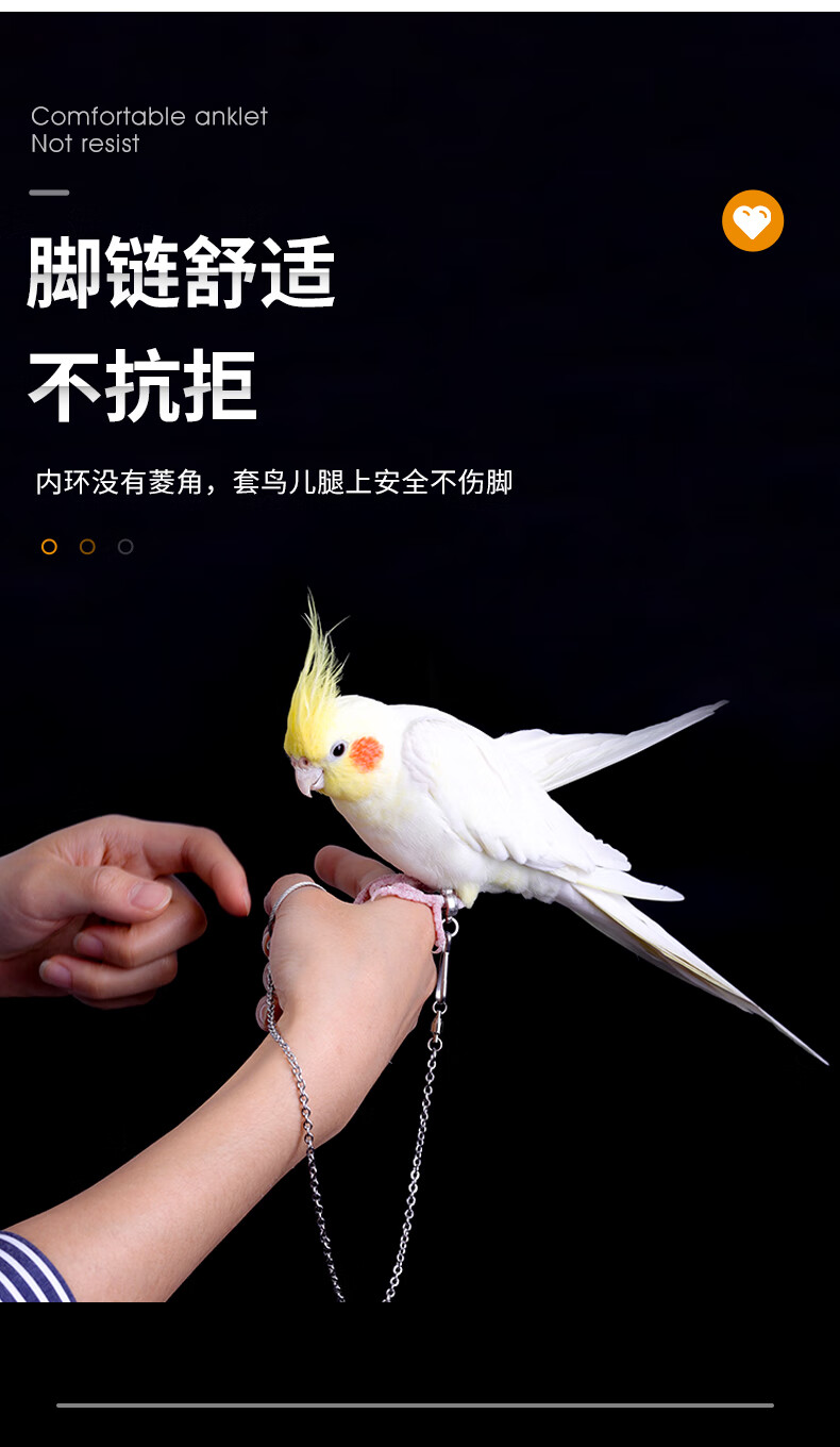 玄凤虎皮牡丹脚环鸟架站架手养鸟绳用品轻不锈钢鹦鹉脚链不伤脚脚链28