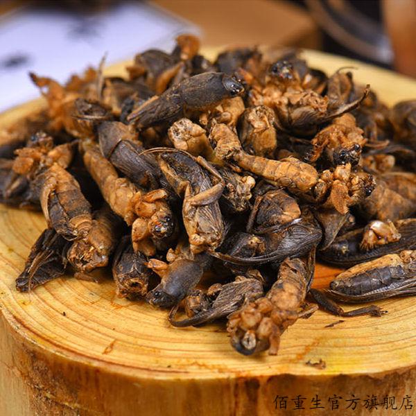 佰重生 蝼蛄干中药材野山无杂质无碎新货土狗子拉拉蛄干蝲蝲蛄 250克