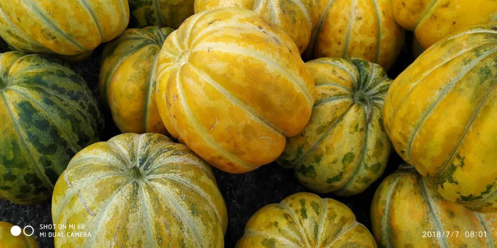 顺丰现货速发老味道山东老面瓜黄皮花皮面瓜当季现摘香瓜老年人低糖