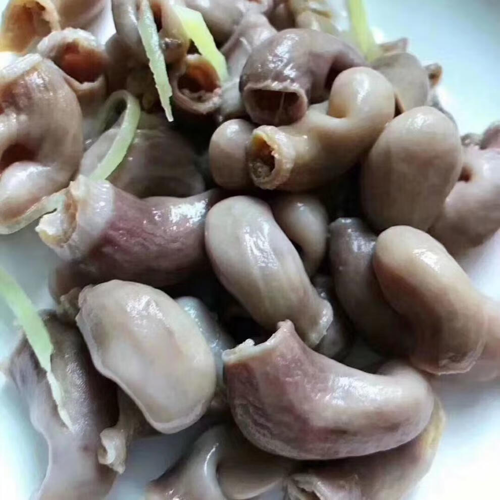 野生海鲜石斑鱼肚新鲜冷冻鲜鱼肚深海冻鱼扣鱼胶花胶鱼杂鱼鳔鱼泡