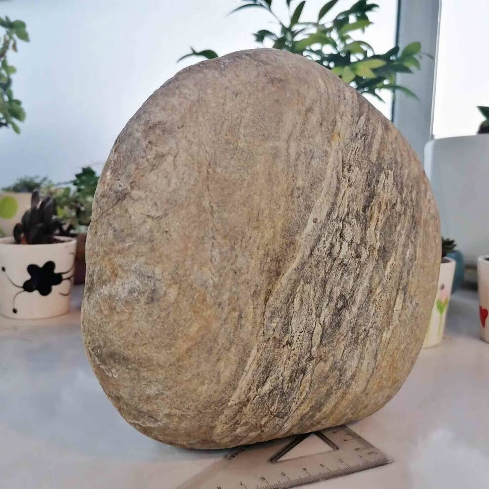 压酸菜缸腌菜坛子酸菜泡菜石头鹅卵石大圆石头乌龟晒台河溪流扁石 18