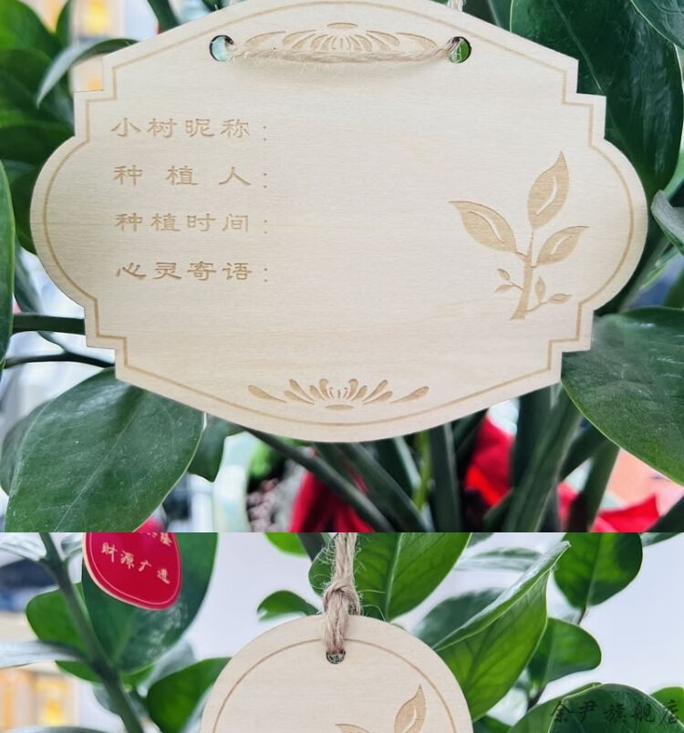 植树节挂牌 植树节认养牌树木认领牌木质吊牌活动挂牌学校公园园林