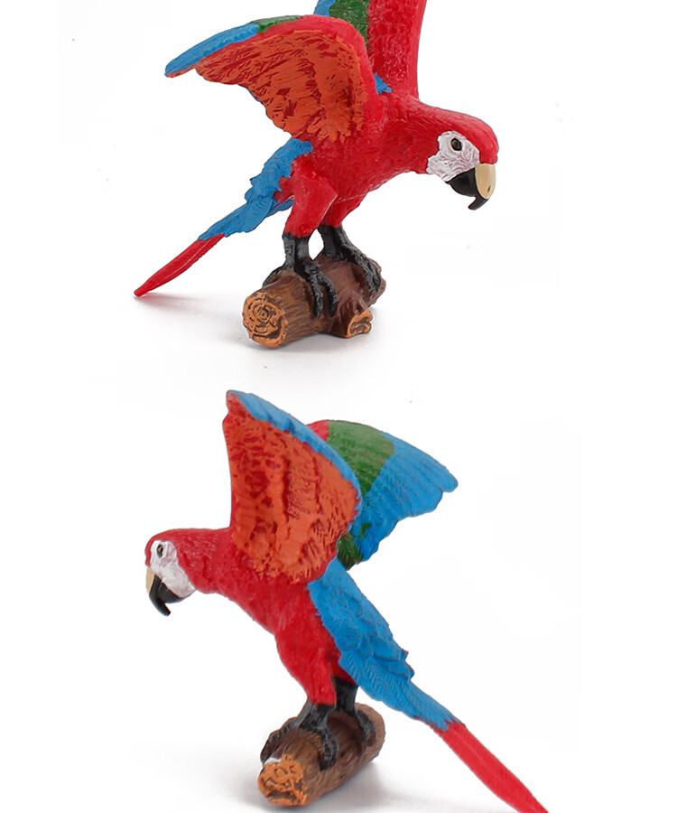 鱼鹰鸬鹚仿真鸟玩具小动物园模型火烈鸟虎皮凤头金刚老鹰儿童认知