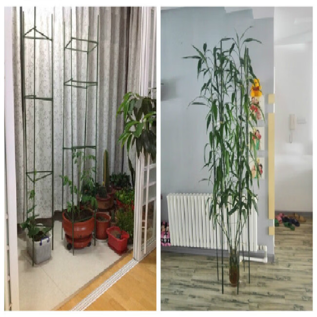 园艺用品庭院种植大棚包塑钢管支柱支架植物瓜果花卉藤蔓爬藤架子 粗