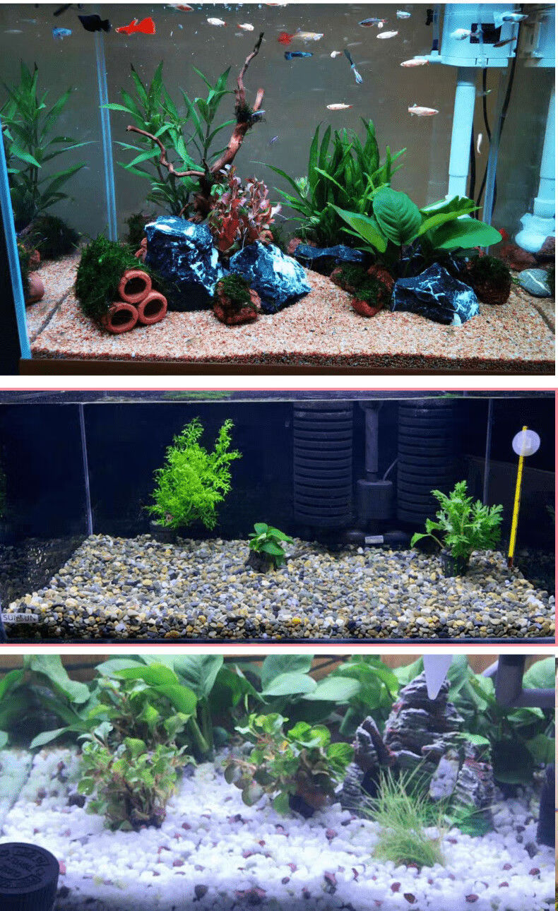 鱼缸底砂天然五彩石头小白石子乌龟用河沙雨花石草缸水族箱造景 4号