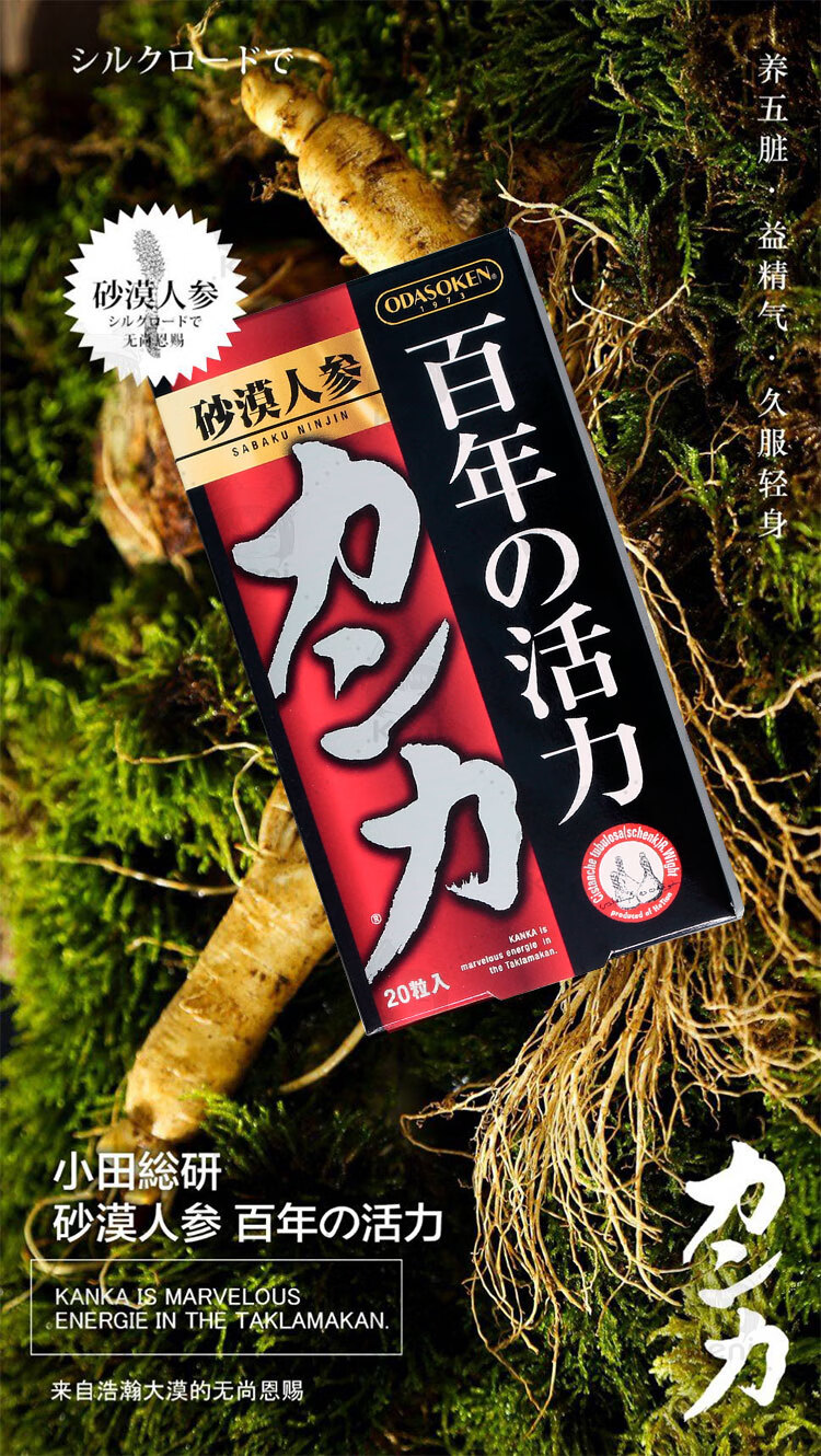 汉和源日本汉和源砂漠沙漠人参百年活力精力气血小田总研浅灰色