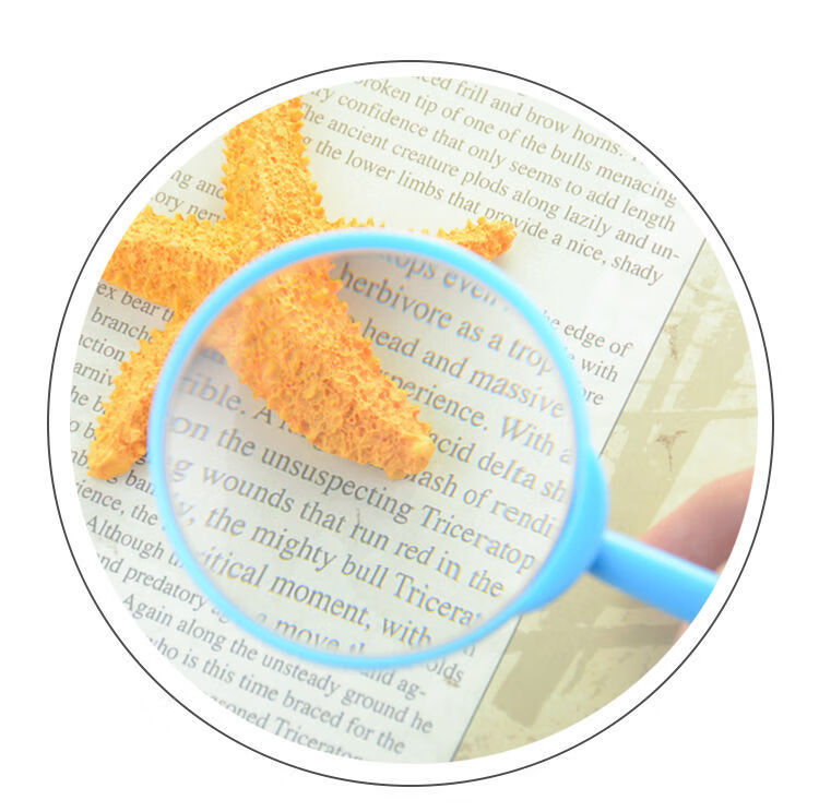 放大镜学生手持式放大镜3倍老人阅读幼儿童小学生科学实验器材蓝色10