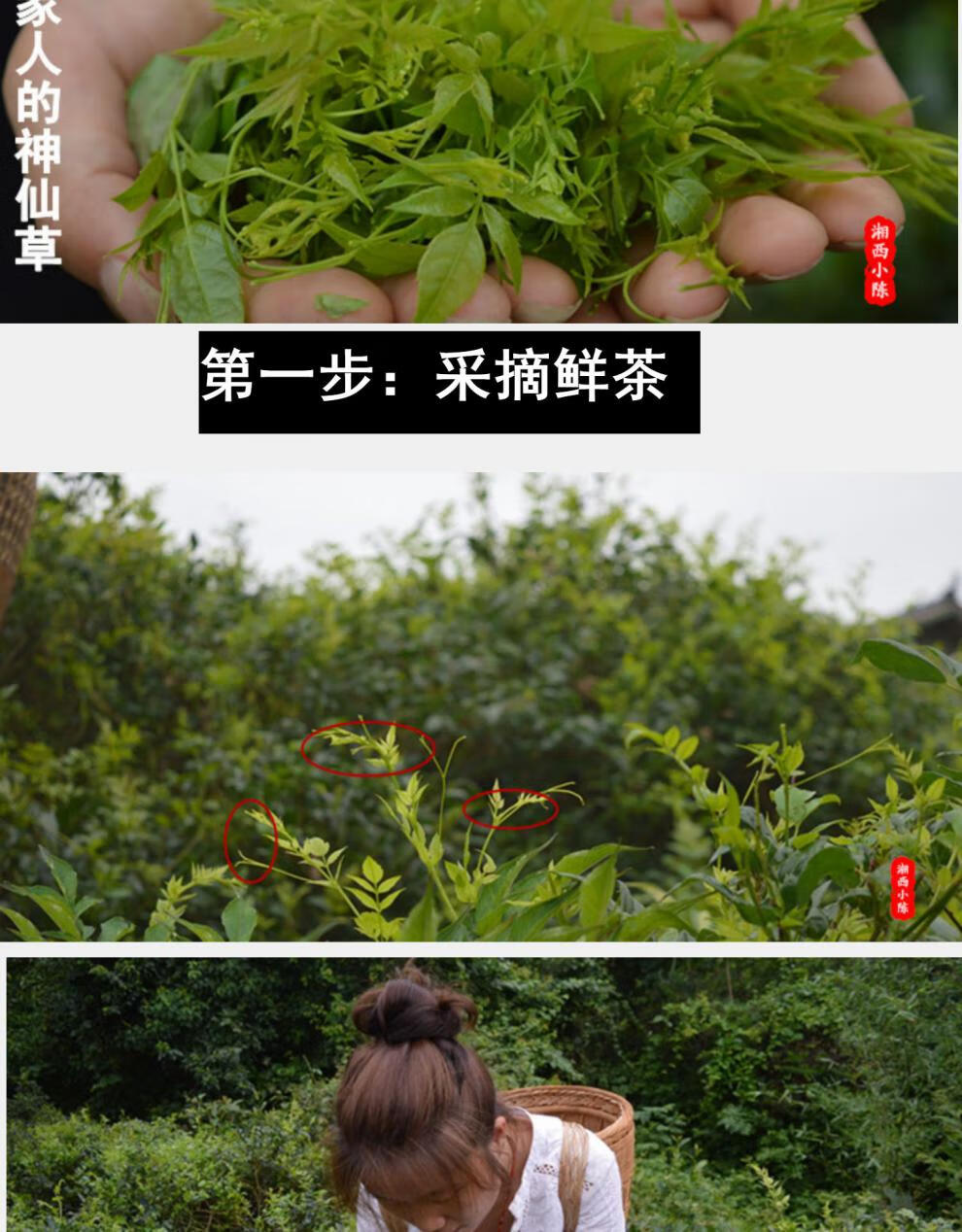 莓茶张家界茅岩霉茶龙须嫩芽尖土家神仙草 新茶500g【图片 价格 品牌