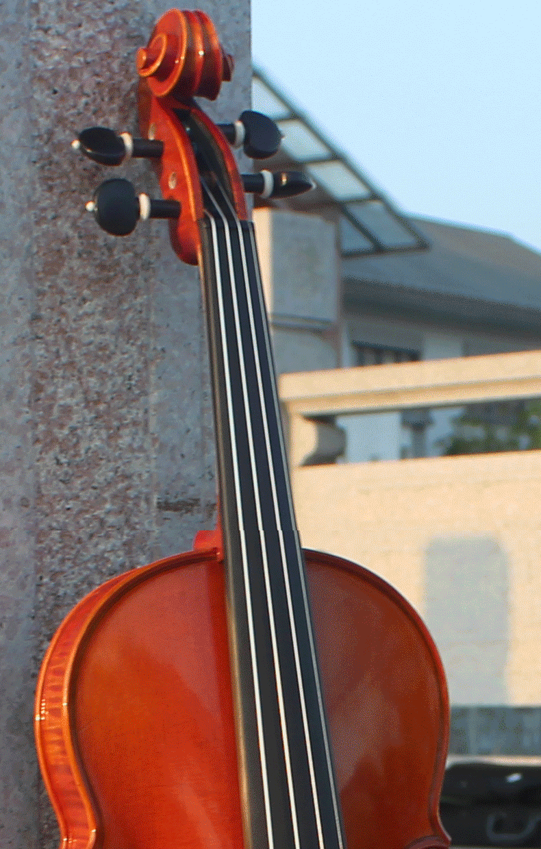 成人专业演奏级小提琴爱琴海纯手工小提琴european初学考级进口欧料