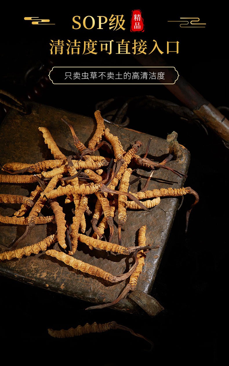 顺丰速发西藏那曲冬虫夏草4根克正宗虫草无断草高海拔泡酒料30根送10