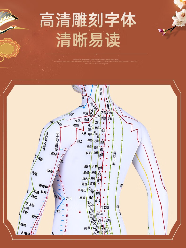 祝浩康白铜色人体针灸模型经络穴位图中医全身针扎练习小皮针灸人体