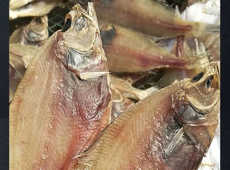 威海特产偏口鱼干长脖鱼干去腮去内脏晾晒6成干左右一斤5条去腮去内脏