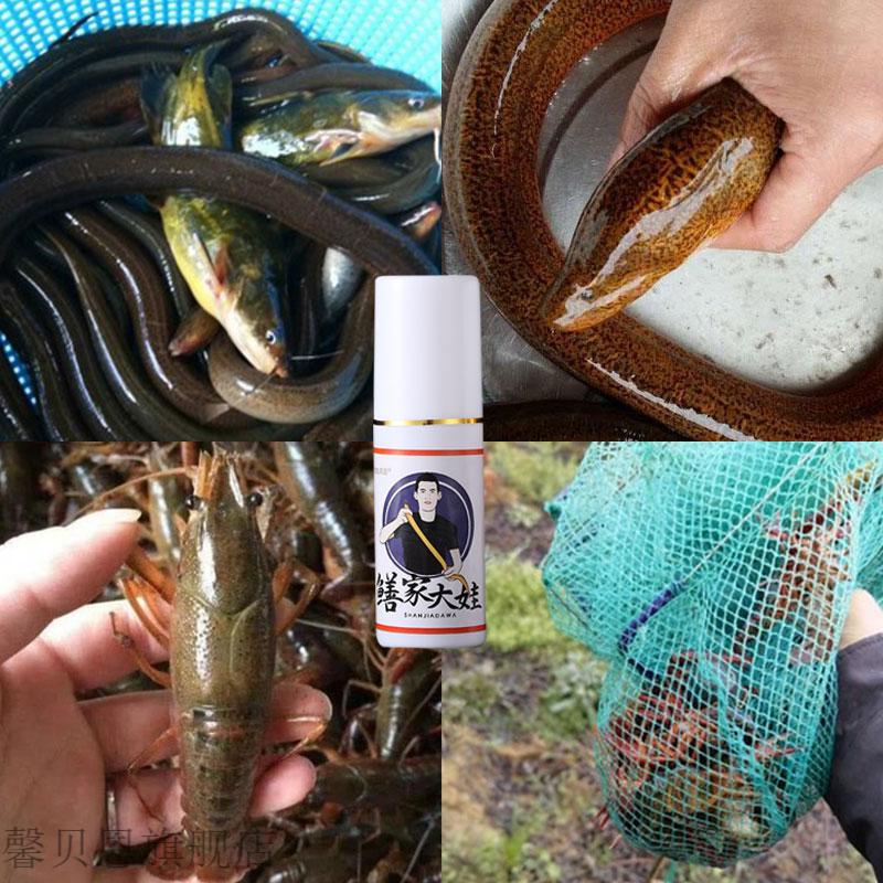 鳝大娃诱食剂抖音同款鳝家大娃钓黄鳝喷雾小药泥鳅鳝鱼田鳝长鱼饵料
