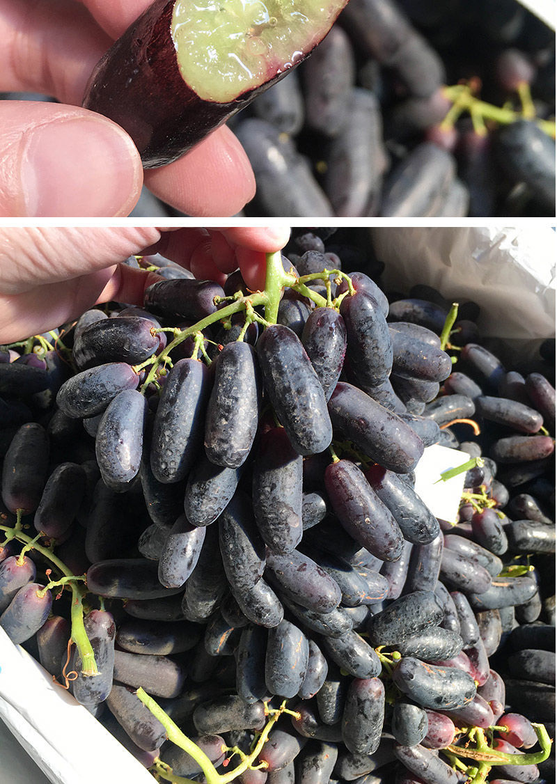 新鲜金手指黑提美人指葡萄黑手指拇指无籽提子新鲜水果 3斤【图片 价