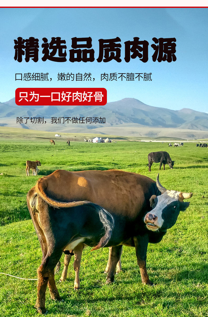 牛尾巴整根尾骨新鲜牛尾骨黄牛尾巴批发散养牛肉整根尾巴现杀去油牛