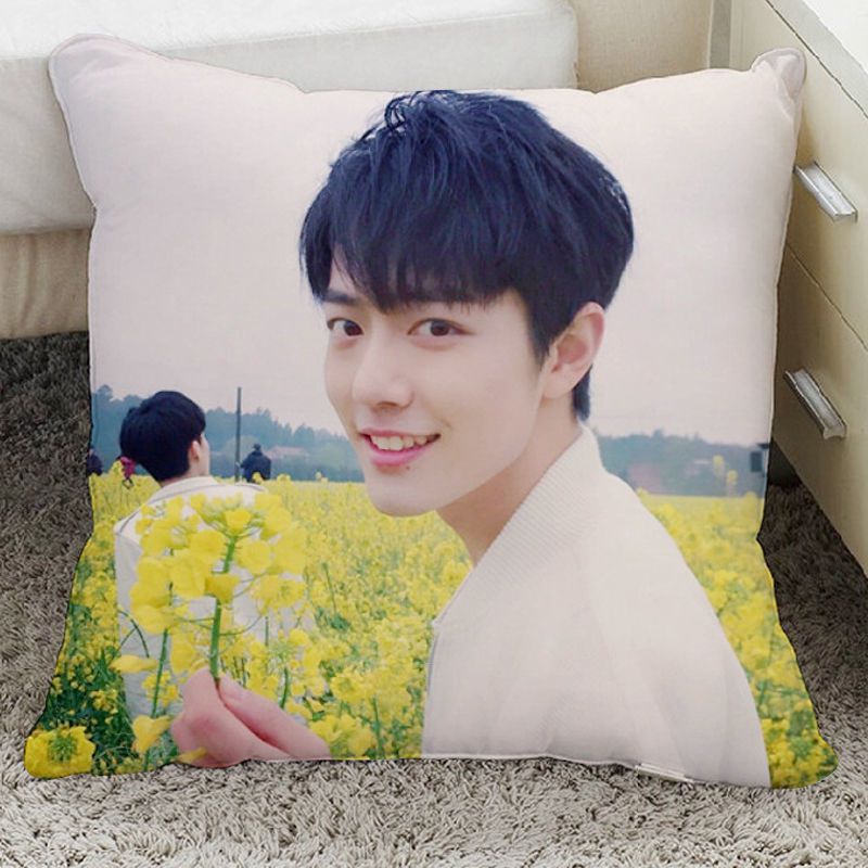 肖战陈令情抱枕汽车腰枕沙发卧室靠枕书房客厅靠枕套毛绒枕头114545cm