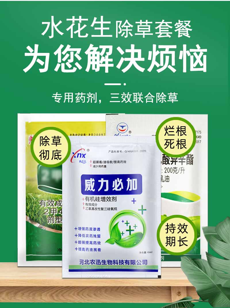水花生连根除强力克星除草剂烂根型空心莲子草专用烂根一遍扫光净28g