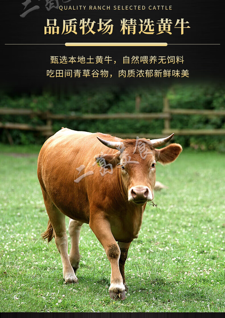 牛头肉全熟黄牛牛脸肉 带皮牛头肉新鲜牛肉牛杂 1斤【图片 价格 品牌