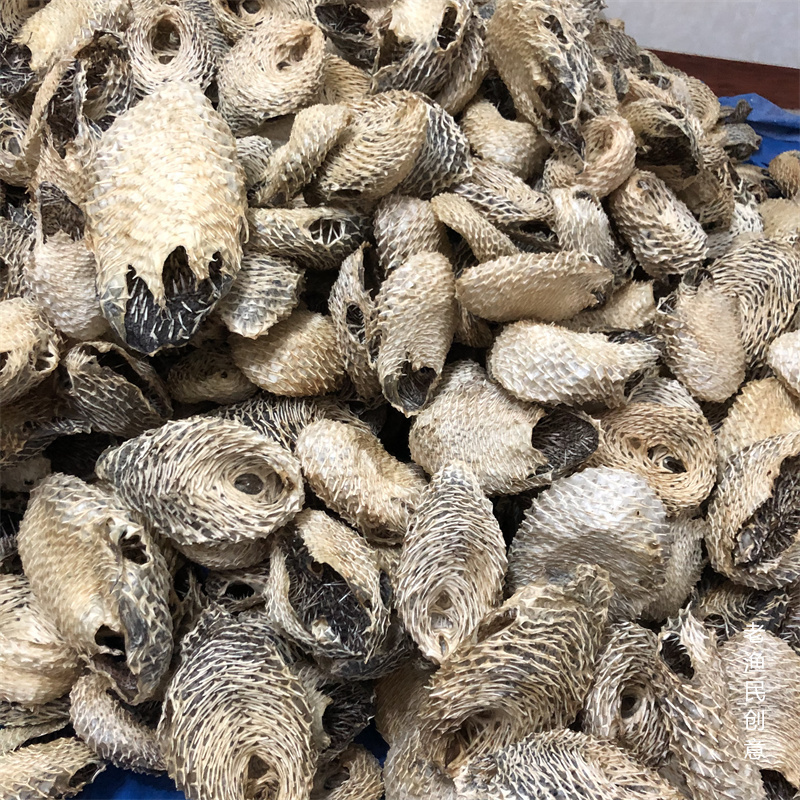 特大号海刺龟皮刺豚皮 刺龟鱼皮海胆皮海产干货500克 3-5个250克