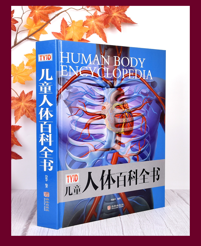 《tyjd儿童人体百科全书彩图精装揭秘探秘人体奥秘6-10岁科普dk人体