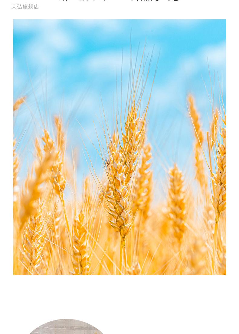 黄金麦穗带瓶天然黄金麦穗干花花束客厅摆设开业大麦花篮田园装饰摆件