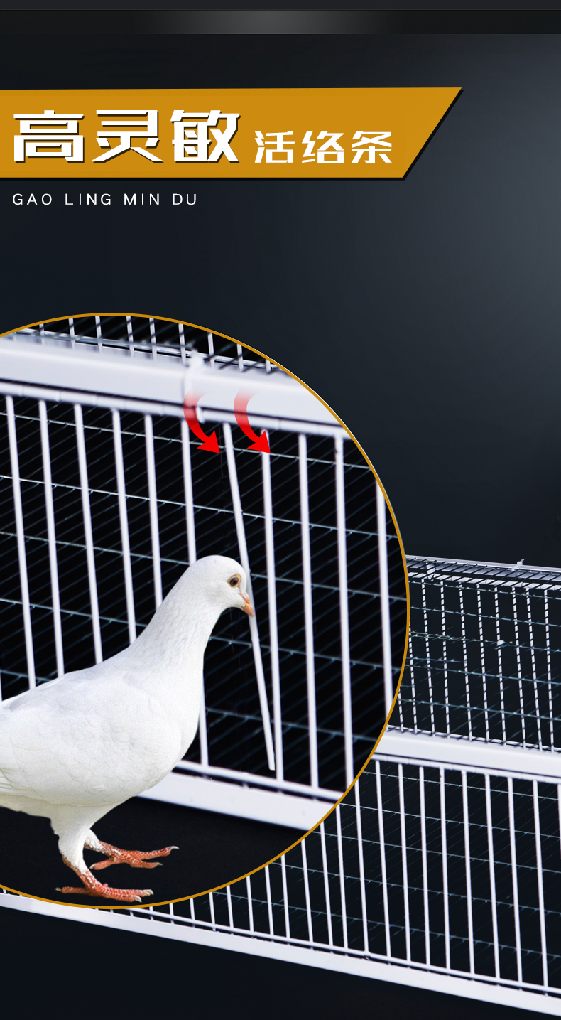 捕鸽神器只进不出抓鸽子笼加密自动捕收鸽机天落笼子撞门逮鸽子很小鹿