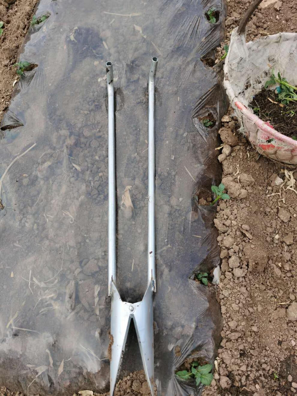 栽苗器移苗器加厚带脚蹬多功能种西瓜豆角番茄土豆辣椒苗神器移植 无