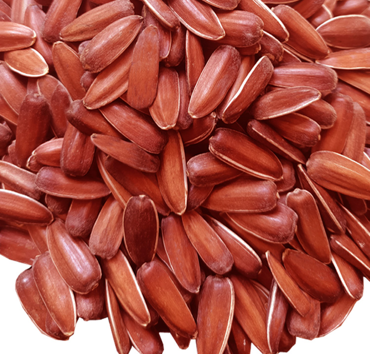 云南特产山地红皮生瓜子生葵花籽水果瓜子甜瓜子农家自种休闲零食