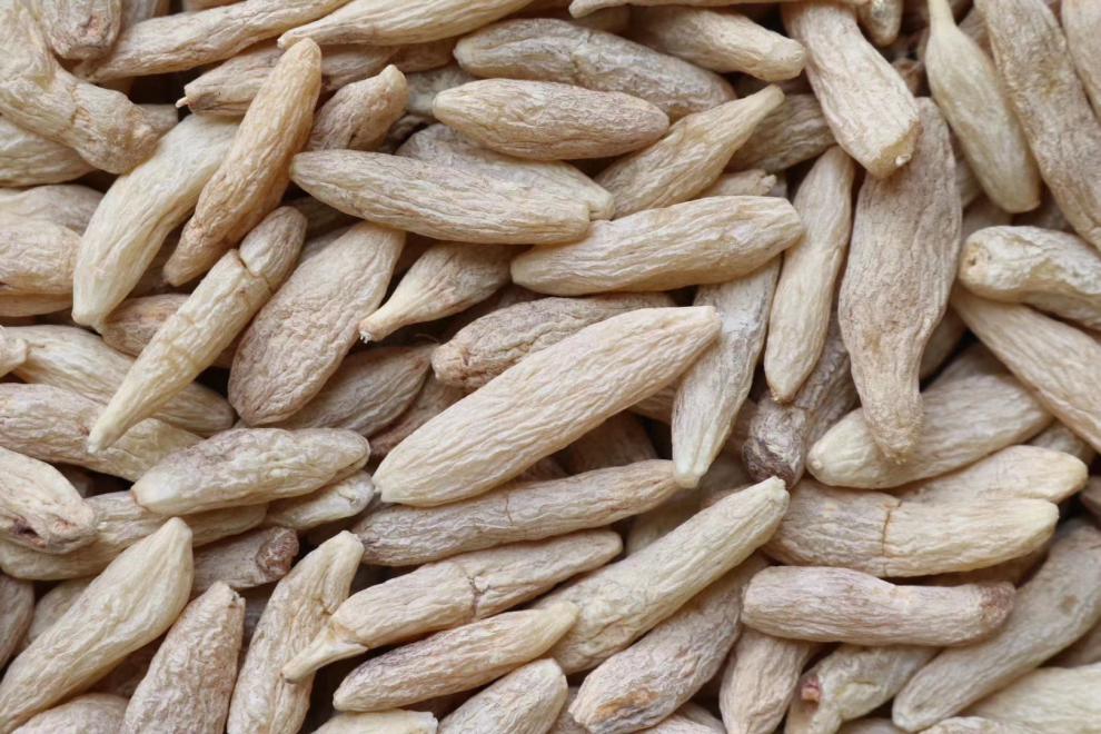 麦冬500g大颗粒四川粗条麦门冬泡水小孩煲汤料草本特产汤包非特级伊梵