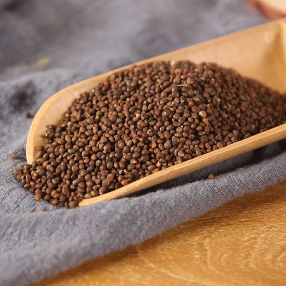 东北生苏籽紫苏籽500g生紫苏子生苏子食用苏子籽种子烧烤料中药材 500