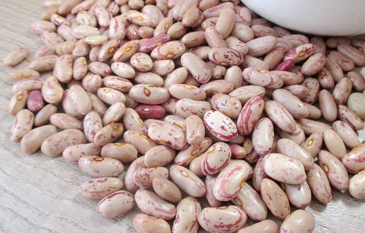 2021年新饭豆上市东北黑龙江花饭豆奶白花芸豆大碴粥豆做豆馅豆沙1斤