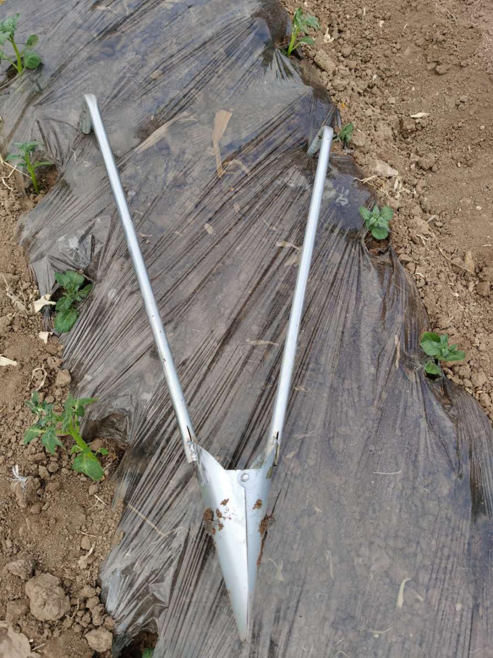 栽苗器移苗器加厚带脚蹬多功能种辣椒苗神器移植农用工具无脚蹬