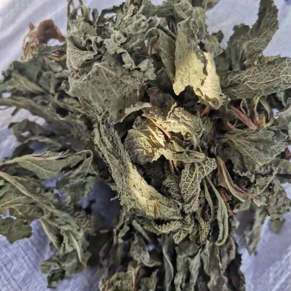 北京同仁堂 新鲜蛤蟆草蟾蜍草荔枝草雪见草蛤蟆括泡茶炒菜蛤蟆中药材