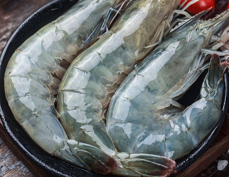 魃鲜新鲜白虾海鲜对虾大虾海捕水产大虾 3斤3盒装