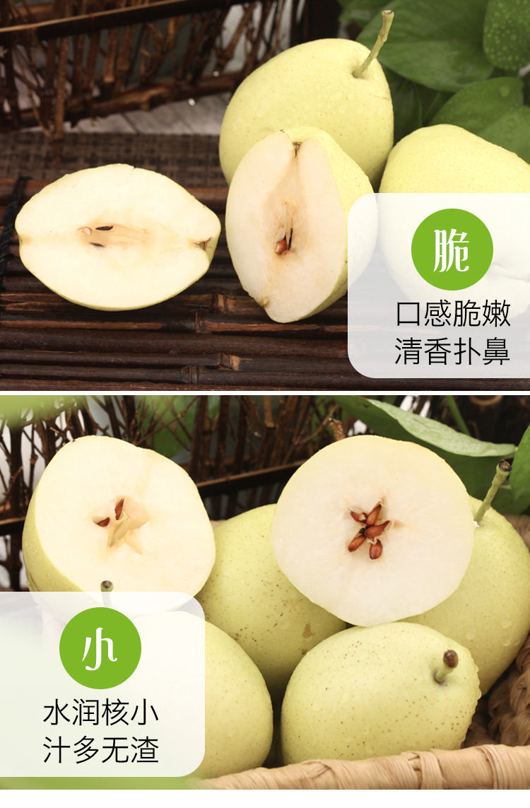 现摘牛奶香梨梨子应季水果整箱新鲜批发多规格77单实惠曼妙好滋味带箱