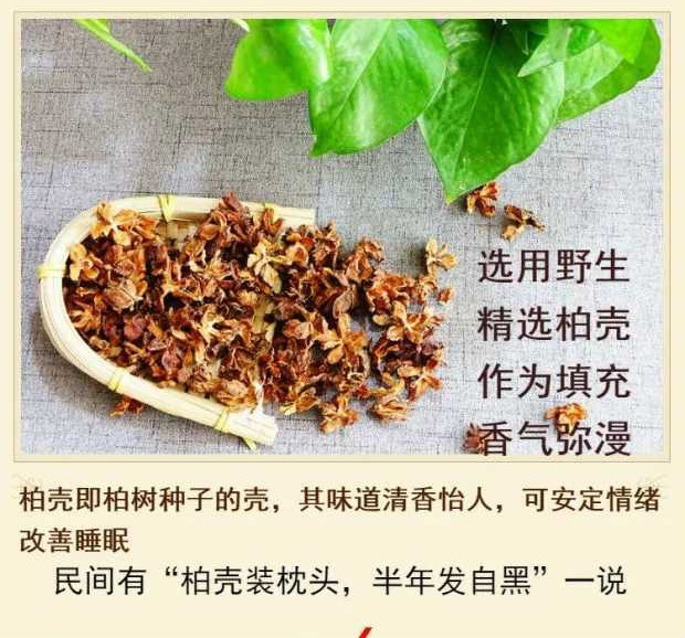 柏树籽枕头coolidea柏壳枕头柏树籽成人单只柏壳枕头枕芯枕失眠安神5