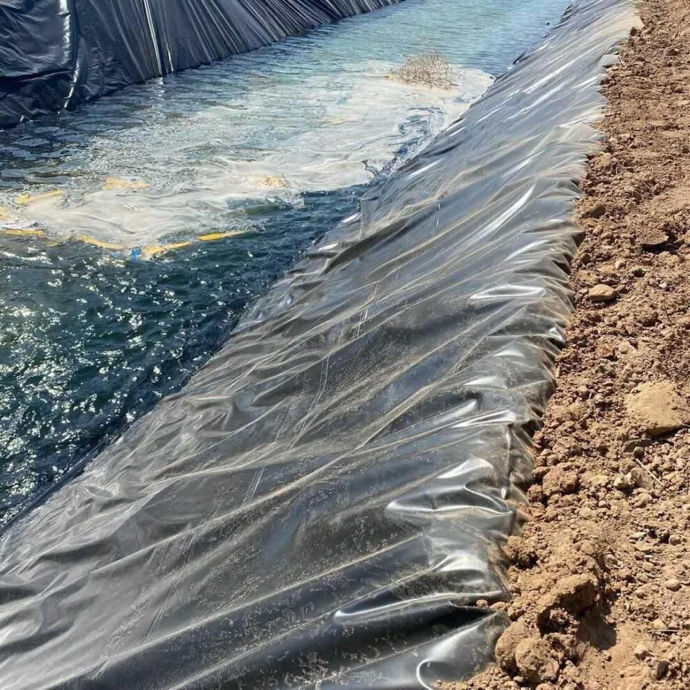 塑料布加厚薄膜防水布黑色防水膜养殖膜鱼塘藕塘鱼池防漏膜中厚鱼池膜