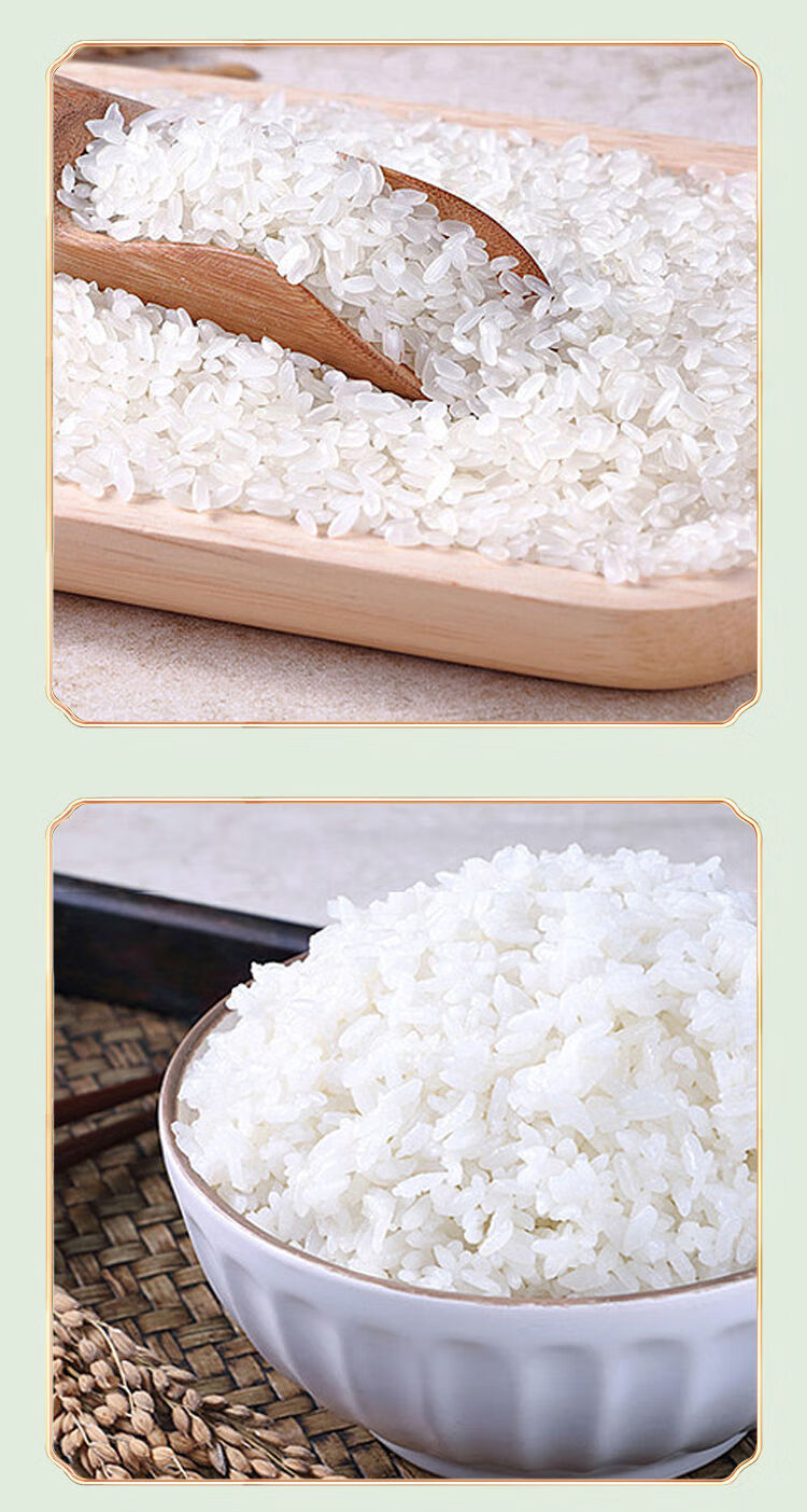 味小府(wei xiao fu) 义稻香米 长粒香 新米义稻原香米20斤义稻原香米