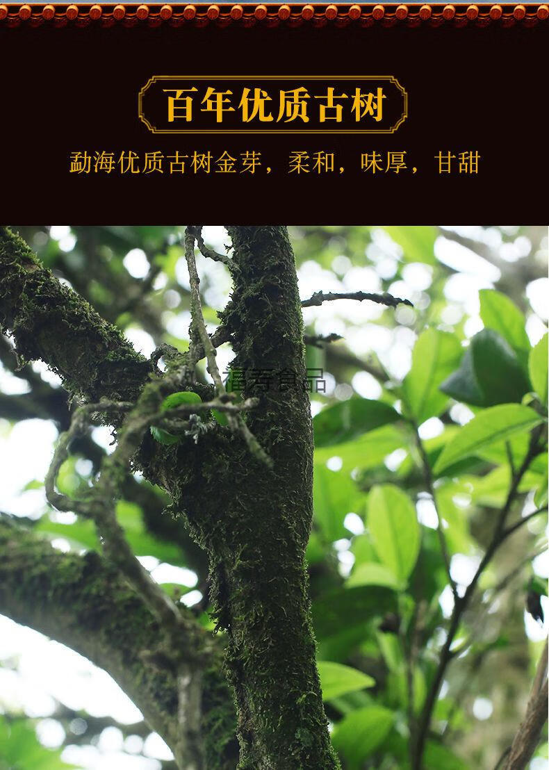 龙园号勐海印象熟茶糯米香小沱茶小金砖礼盒装送礼茶叶