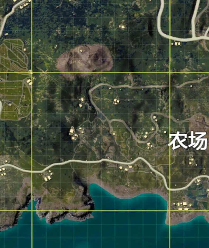 精英地图海报海岛地图游戏宿舍墙贴吃鸡周边ss13赛季 雨林【高清】 40