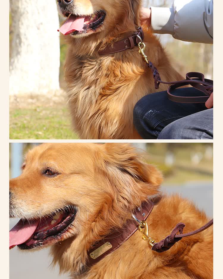 狗项圈中型犬金毛拉布拉多泰迪法斗小型犬刻字宠物饰品大型犬脖圈红色