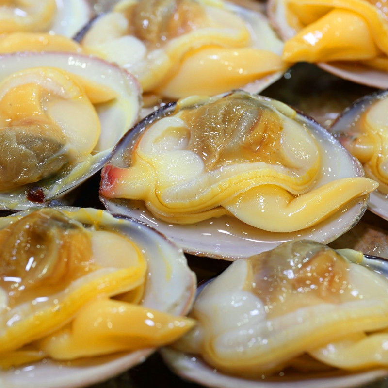 真空即食黄蚬子丹东大黄蚬子蚬子新鲜鲜活蚬子肉新鲜丹