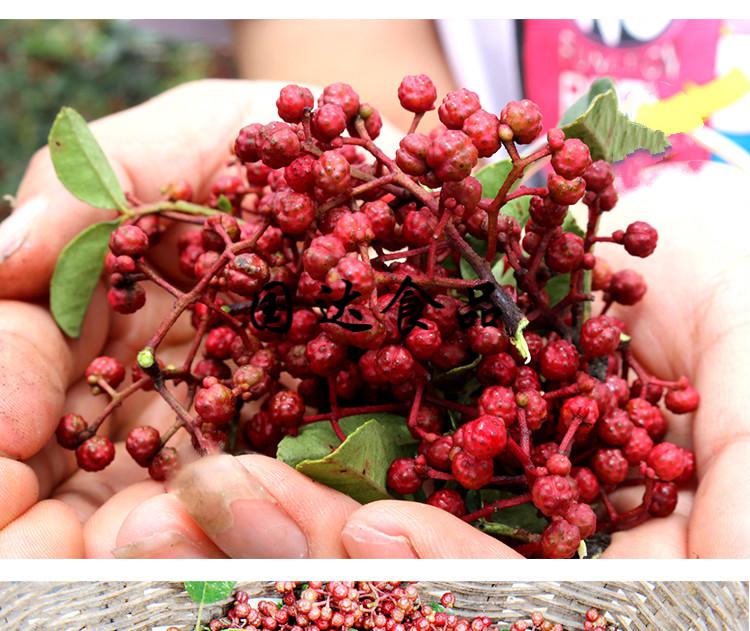 橙伯乐四川花椒500g南椒汉源清溪贡椒花椒四川汉源特产500g